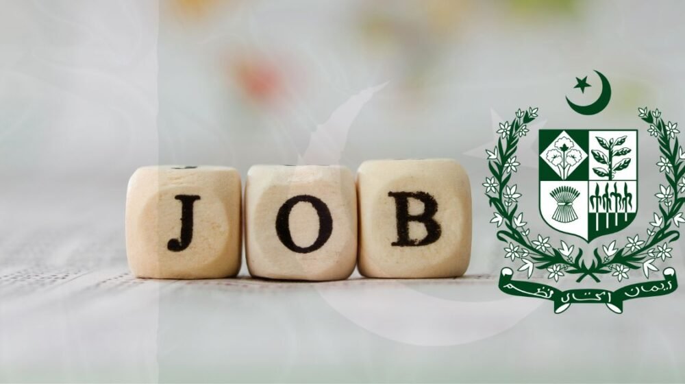 How To Apply Online for Pakistan Government Schemes — Master Guide